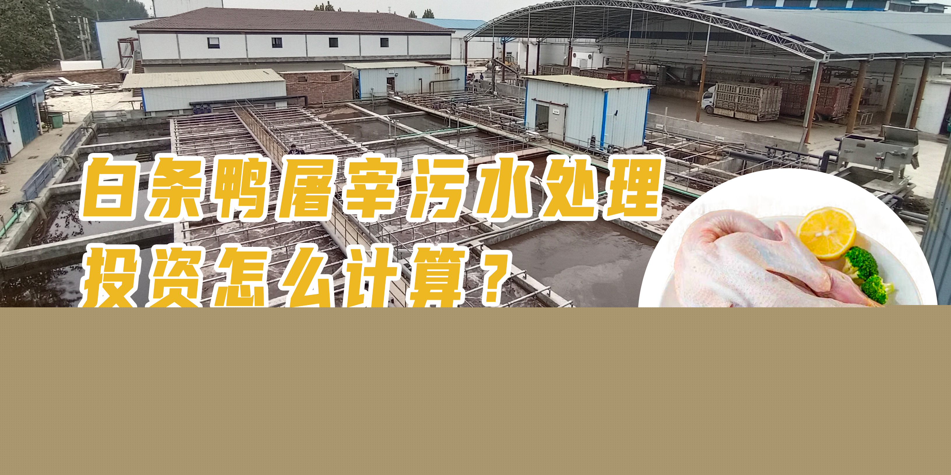 白條鴨屠宰污水處理投資怎么計算？